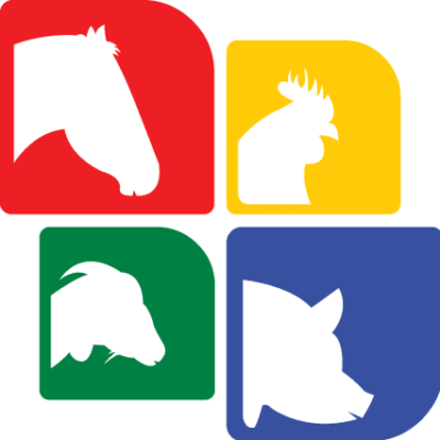 Image for choice number 6